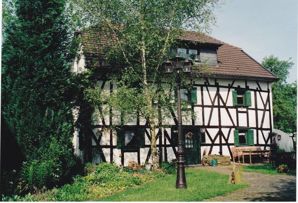 Historisches Haus Unkelbach Daire Irlenborn Oda fotoğraf